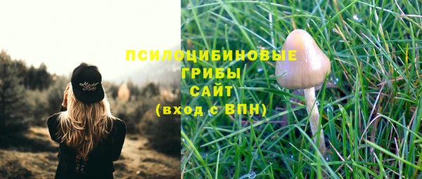 кокаин колумбия Алексин