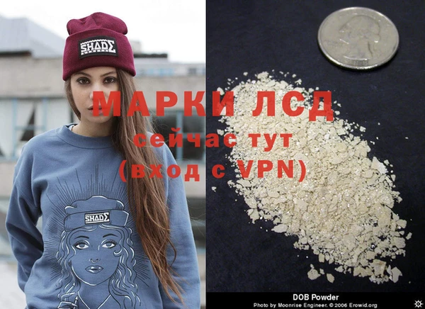 сатива Алексеевка