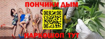тгк Гай