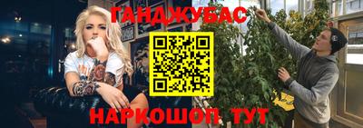 тгк Гай