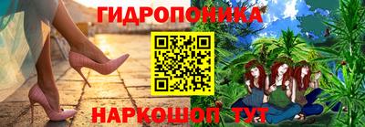 тгк Гай