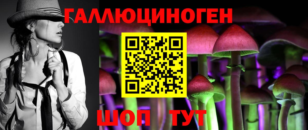 купить закладку  Галлюциногенные грибы Psilocybe  Вход с VPN  Луга 